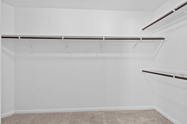 520 Betty Ann Way, Leander, TX 78641 - spacious closet with carpet