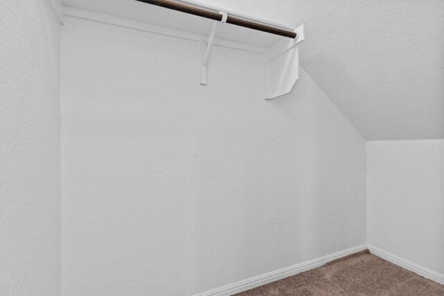 520 Betty Ann Way, Leander, TX 78641 - walk in closet featuring carpet floors