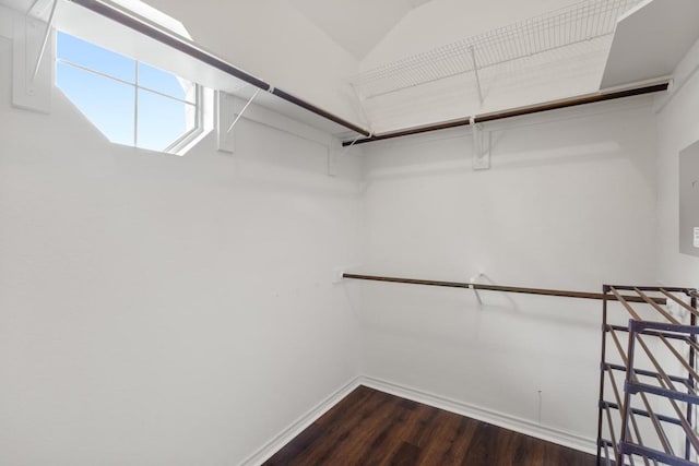 420 Oak Forest Dr, Buda, TX 78610 - spacious closet featuring dark wood-type flooring