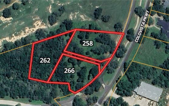 258 Colovista Pkwy, Bastrop, TX 78602