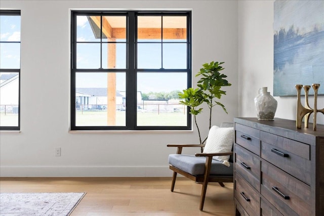 1754 County Road 146th Rd, Georgetown, TX 78633 - living area with light wood-style flooring and plenty of natural light