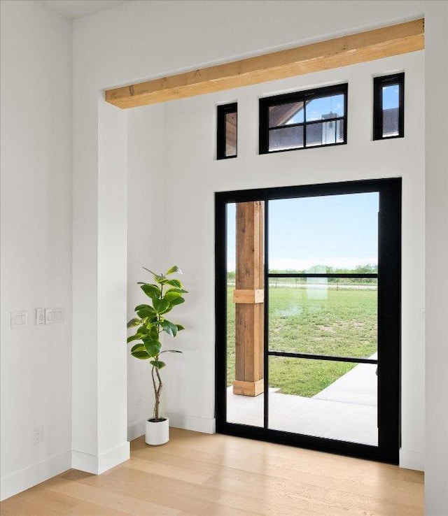 1754 County Road 146th Rd, Georgetown, TX 78633 - entryway with wood finished floors and baseboards