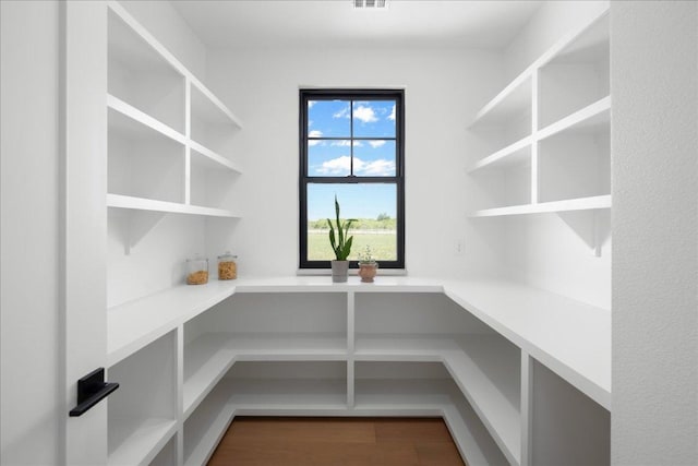 1754 County Road 146th Rd, Georgetown, TX 78633 - view of pantry