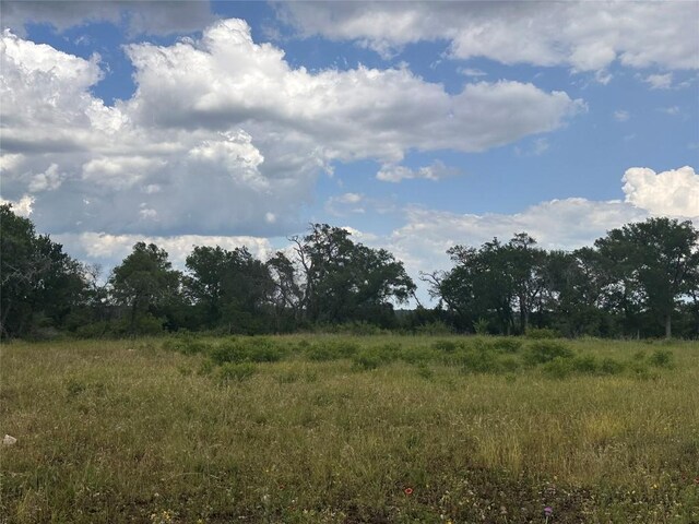 LOT83 Kasen Cir, Liberty Hill, TX 78642 - photo 3