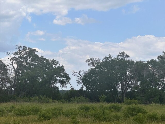 LOT83 Kasen Cir, Liberty Hill, TX 78642 - photo 4