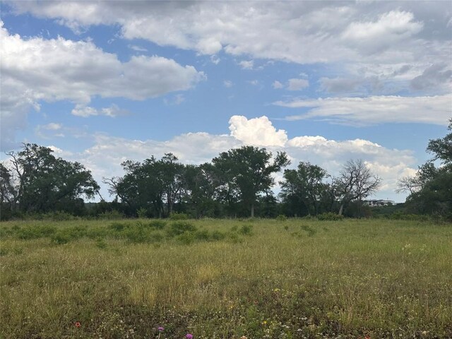 LOT83 Kasen Cir, Liberty Hill, TX 78642 - photo 6