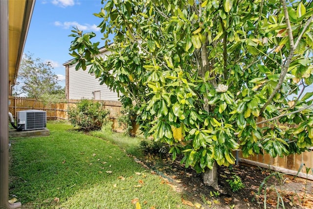 6212 Bumpstead Dr, Austin, TX 78747 - view of yard with central AC unit