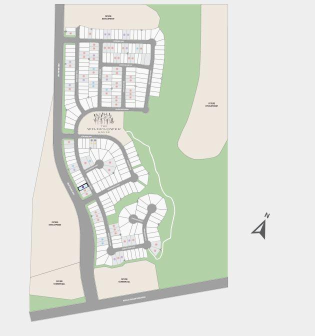 209 Golden Sage Ave, Georgetown, TX 78633 - map / location