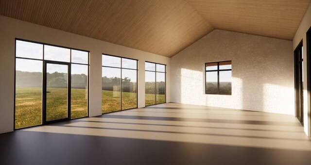 209 Golden Sage Ave, Georgetown, TX 78633 - unfurnished sunroom featuring vaulted ceiling