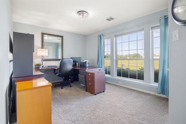 401 Southern Dr, Buda, TX 78610 - carpeted office featuring baseboards