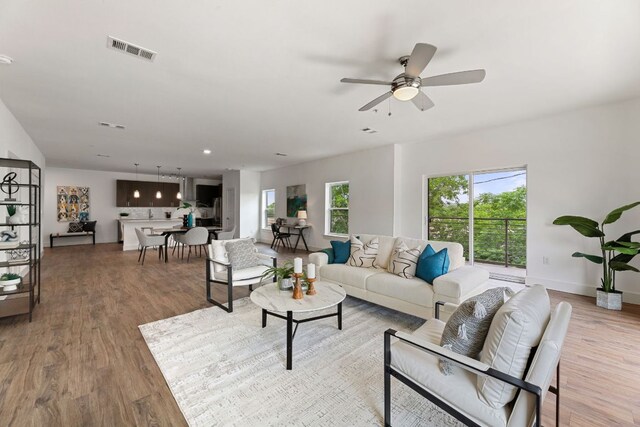 6444 Burnet Rd Unit 204, Austin, TX 78757 - living area featuring wood finished floors and a ceiling fan