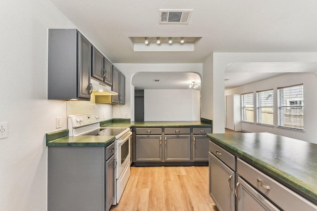 1208 Water Spaniel Way, Round Rock, TX 78664 - kitchen featuring electric stove, dark countertops, under cabinet range hood, and gray cabinetry