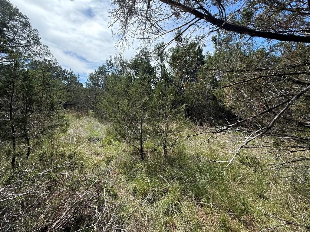 38 Heathrow Ln, Wimberley, TX 78676