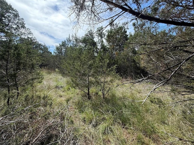 38 Heathrow Ln, Wimberley, TX 78676