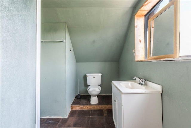 990 Oak Mdws, San Marcos, TX 78666 - bathroom featuring vaulted ceiling, vanity, and toilet