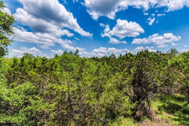 990 Oak Mdws, San Marcos, TX 78666 - view of tree filled area