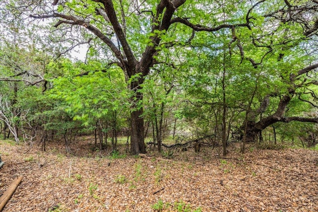 990 Oak Mdws, San Marcos, TX 78666 - view of wooded area