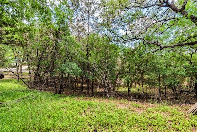 990 Oak Mdws, San Marcos, TX 78666 - view of local wilderness