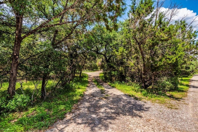 990 Oak Mdws, San Marcos, TX 78666 - view of road featuring a wooded view