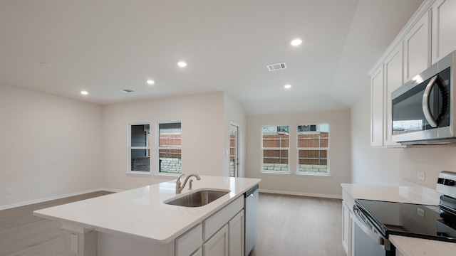 329 Lone Cedar Rd, Marble Falls, TX 78654 - kitchen featuring stainless steel appliances, a sink, light wood-type flooring, plenty of natural light, and recessed lighting