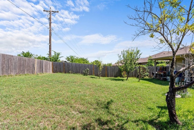 604 Comal Run, Hutto, TX 78634 - view of fenced backyard