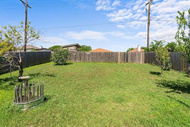 604 Comal Run, Hutto, TX 78634 - view of fenced backyard
