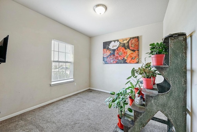 carpeted spare room with baseboards
