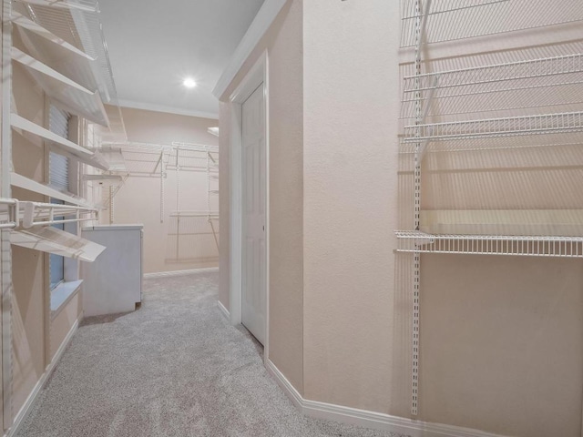 9402 Bluegrass Dr, Austin, TX 78759 - spacious closet with carpet