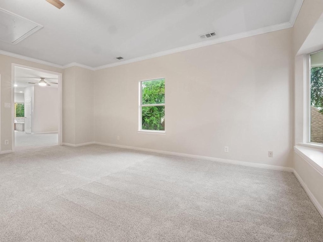 9402 Bluegrass Dr, Austin, TX 78759 - empty room featuring attic access, ornamental molding, carpet flooring, and ceiling fan