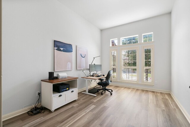 630 Wild Rose Dr, Austin, TX 78737 - office space with light wood-type flooring
