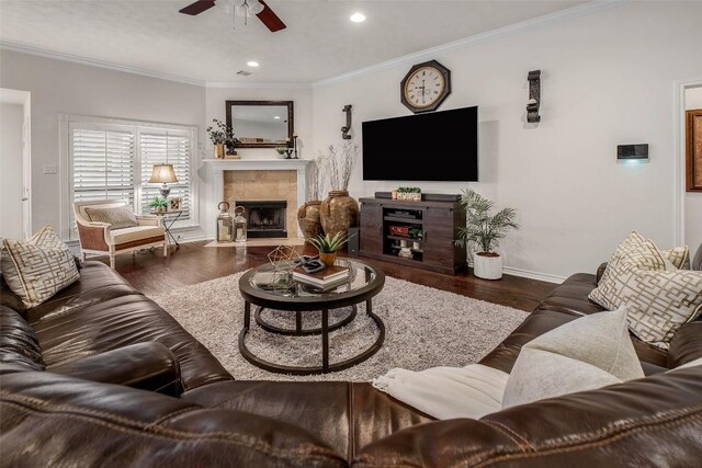 living area featuring baseboards, ceiling fan, wood finished floors, a fireplace, and recessed lighting
