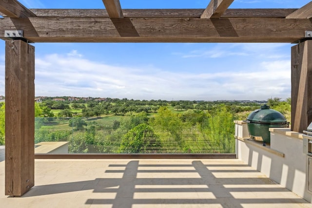 12625 Maidenhair Ln Unit 31, Austin, TX 78738 - view of patio featuring an outdoor kitchen and a grill