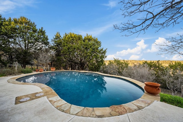124 Hoskins Trl, Boerne, TX 78006 - swimming pool with a patio