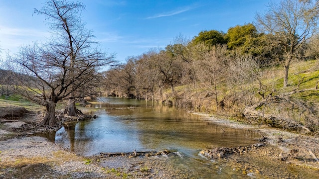 124 Hoskins Trl, Boerne, TX 78006 - water view