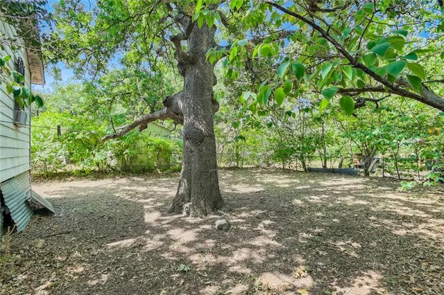 1208 Coleto St, Austin, TX 78702 - photo 4