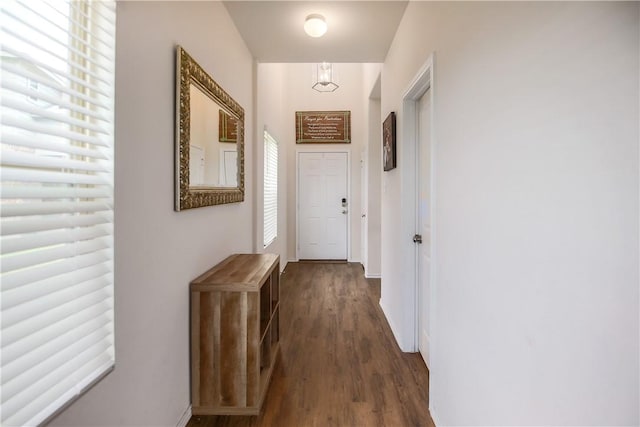 428 Major Lee Ln Unit 10H, Jarrell, TX 76537 - doorway featuring plenty of natural light and dark wood-style floors