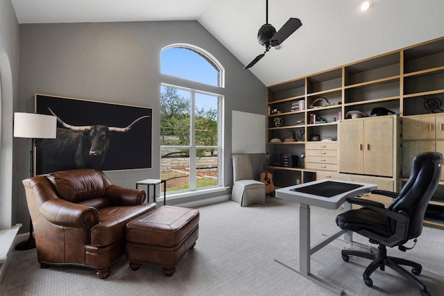 9750-9800 Ledgestone Ter, Austin, TX 78737 - home office featuring carpet floors, plenty of natural light, high vaulted ceiling, and built in features