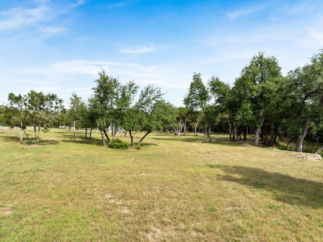 9750-9800 Ledgestone Ter, Austin, TX 78737 - view of green lawn