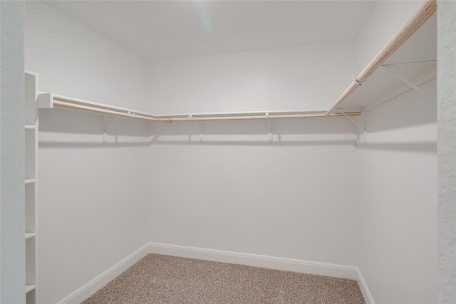 513 Tekoa Dr, Georgetown, TX 78628 - spacious closet featuring carpet