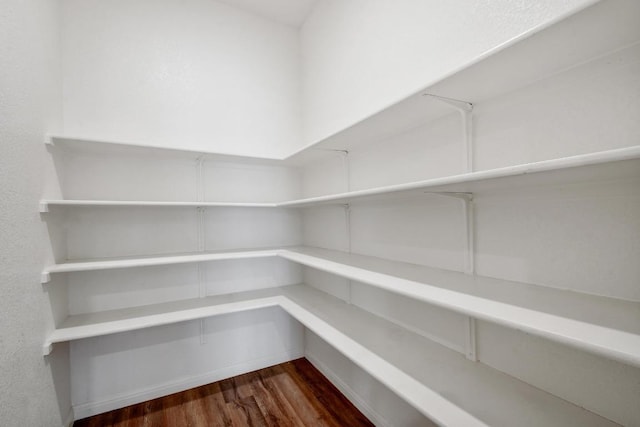 750 Bunton Reserve Blvd, Kyle, TX 78640 - view of pantry