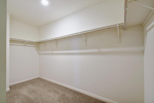 750 Bunton Reserve Blvd, Kyle, TX 78640 - spacious closet with carpet
