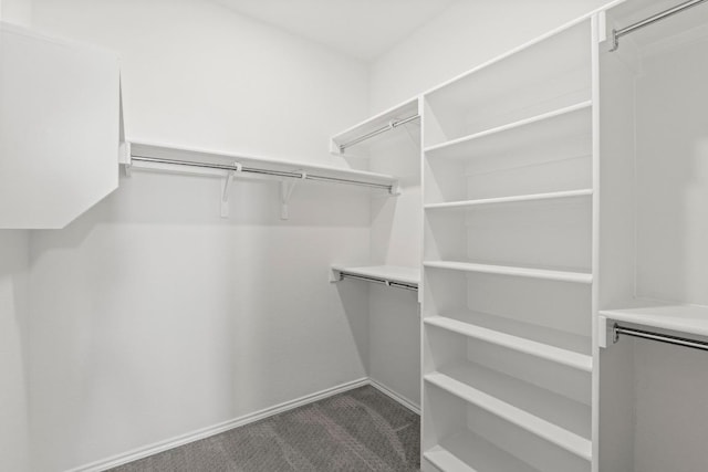 3759 Liberi Ln, Round Rock, TX 78665 - walk in closet with carpet floors