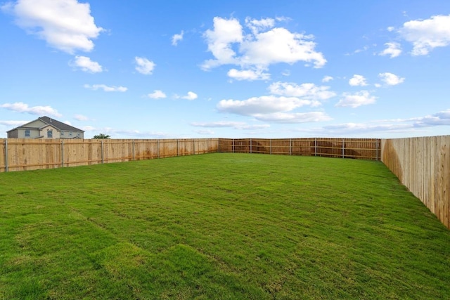 3759 Liberi Ln, Round Rock, TX 78665 - view of yard