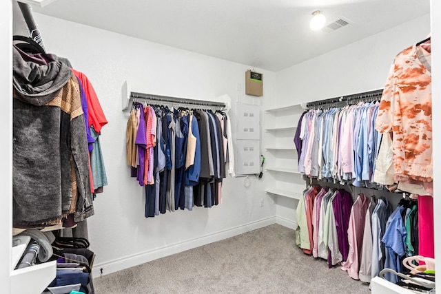 spacious closet featuring carpet