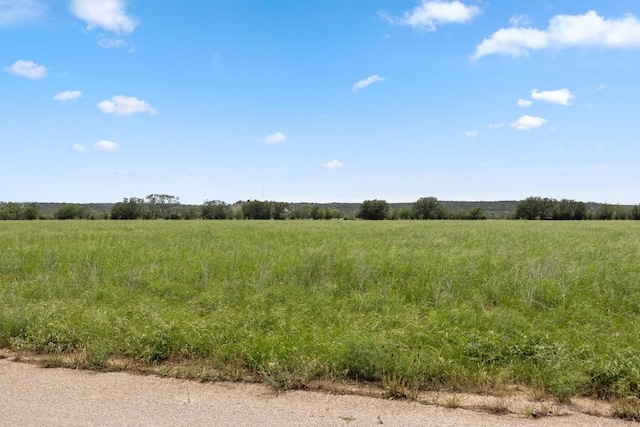 00 Cattle Trl, Kempner, TX 76539
