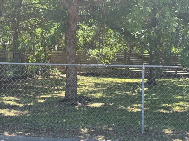 1711 Singleton Ave, Austin, TX 78702 - view of yard