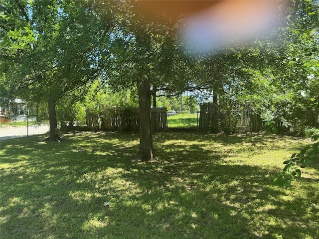 1711 Singleton Ave, Austin, TX 78702 - view of yard