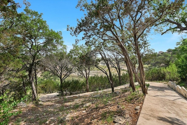 601 S Angel Light Dr, Spicewood, TX 78669 - photo 34