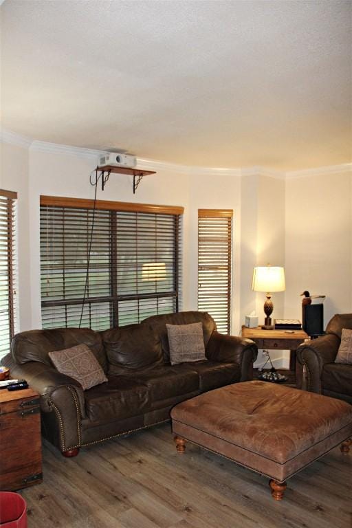 3616 Arrowhead Cir, Round Rock, TX 78681 - living area with ornamental molding and wood finished floors