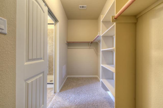 spacious closet with carpet flooring
